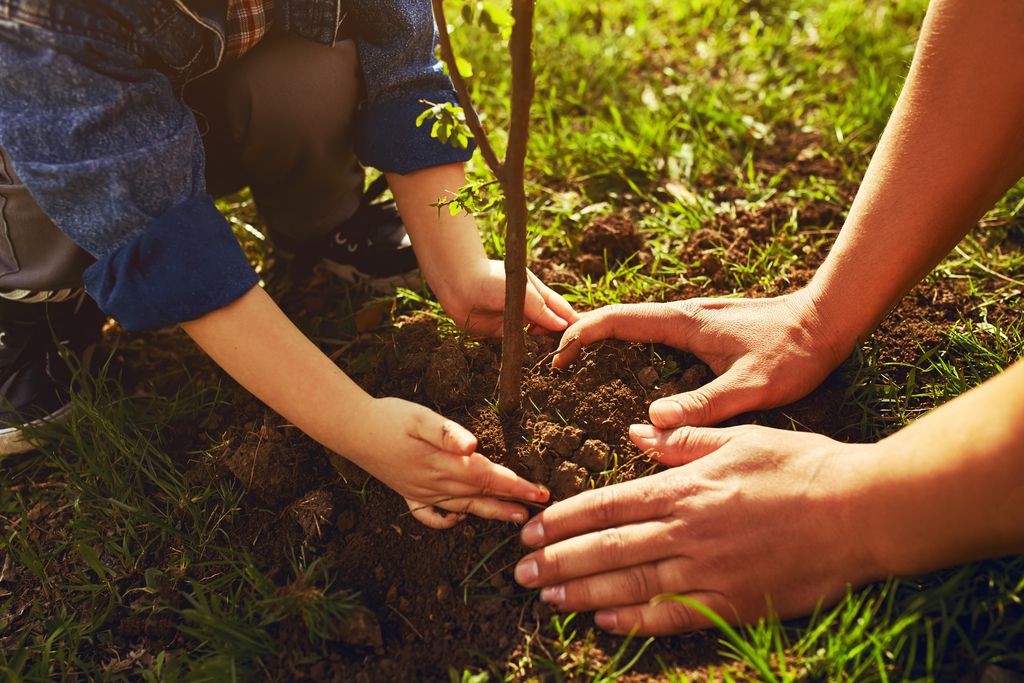 Piantare un albero per abitante